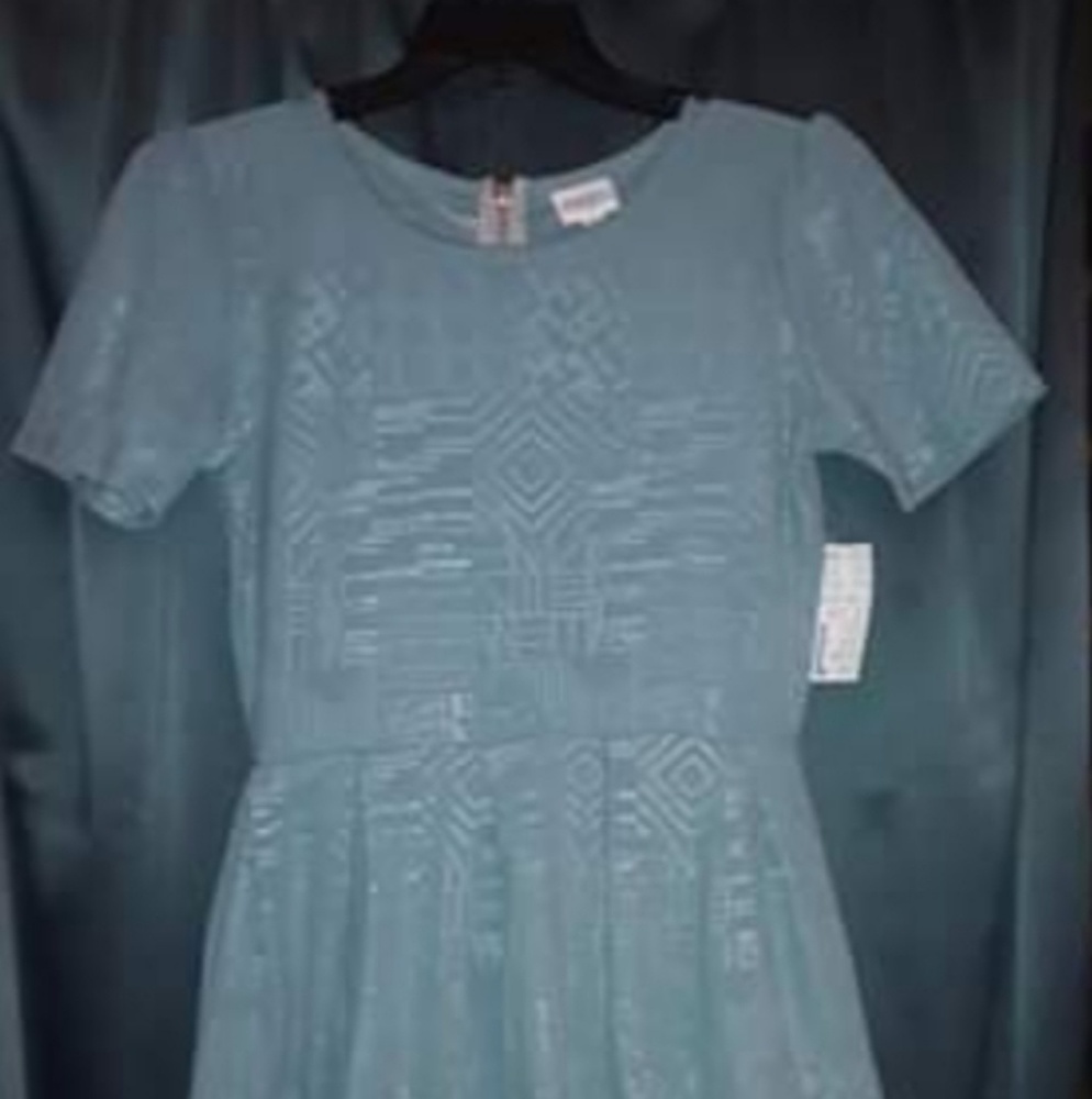 Brand new Amelia dress